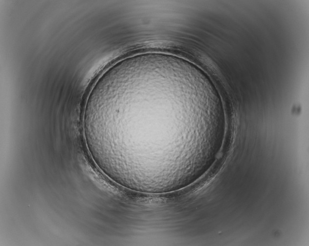 X0000114190930200910231318