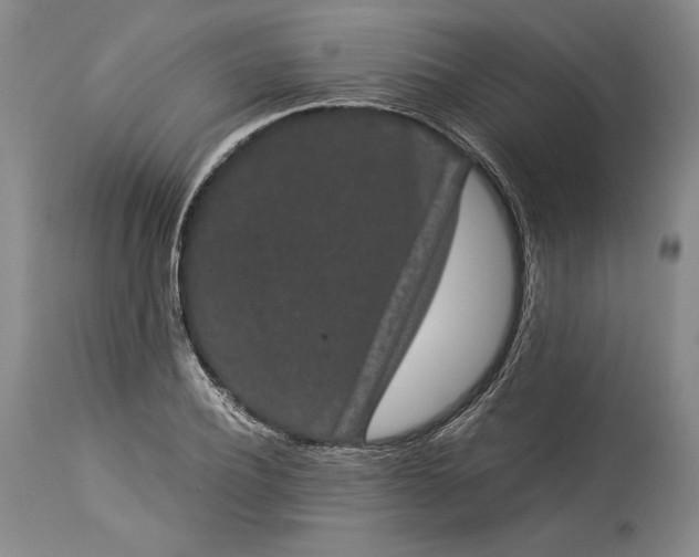 X0000114190932200910231318