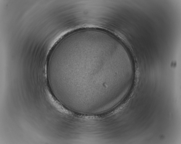 X0000114190934200910231318
