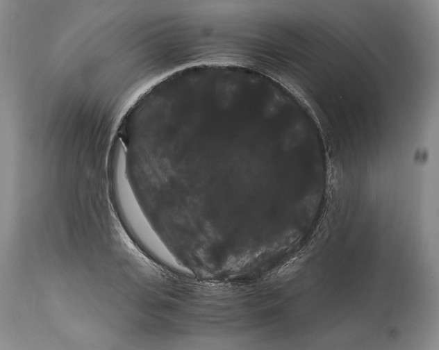 X0000114190935200910231318