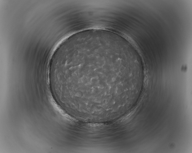 X0000114190939200910231318
