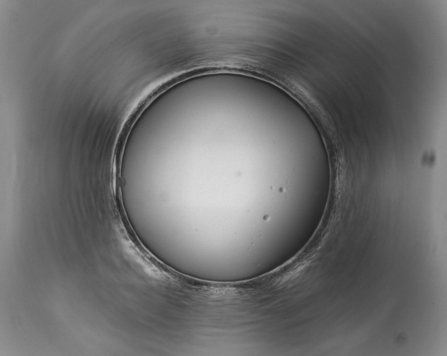 X0000114190940200910231318