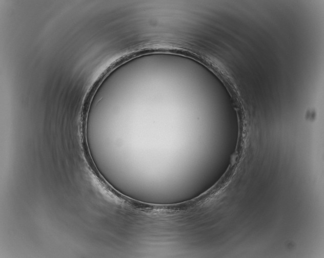 X0000114190942200910231318