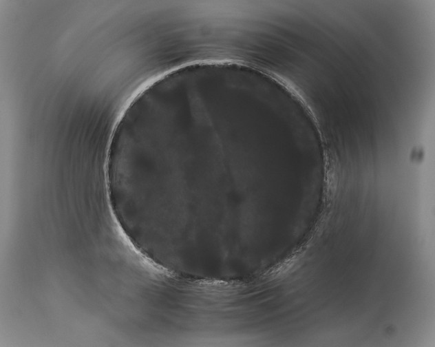 X0000114190943200910231318