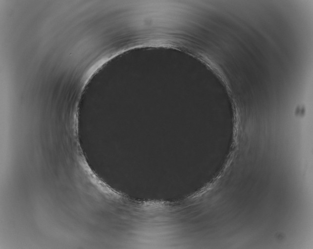 X0000114190944200910231318
