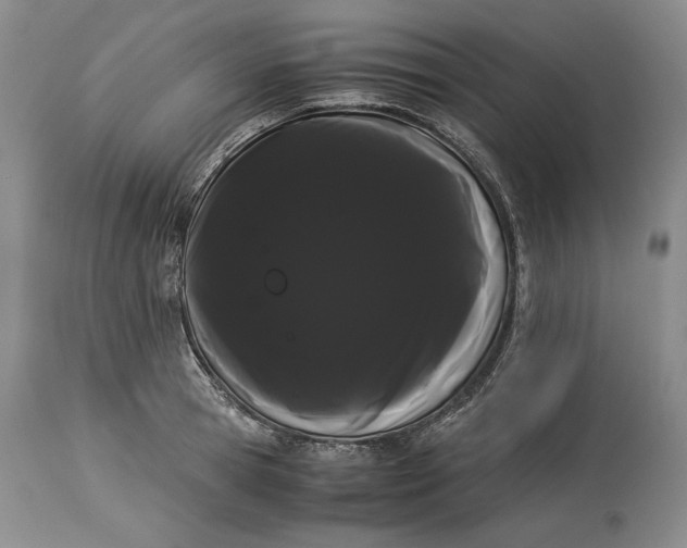 X0000114190945200910231318
