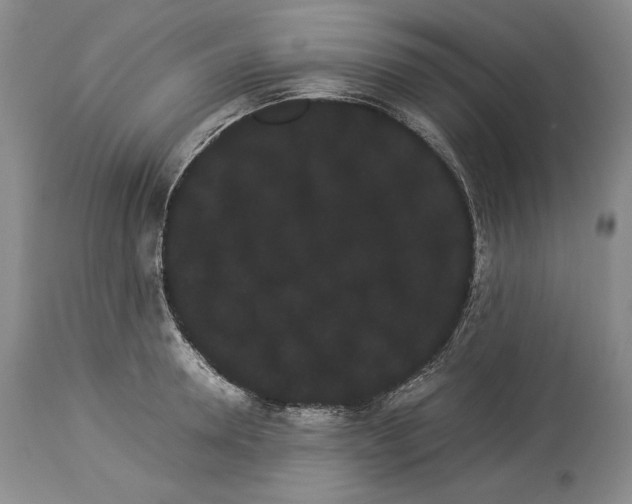 X0000114190946200910231318
