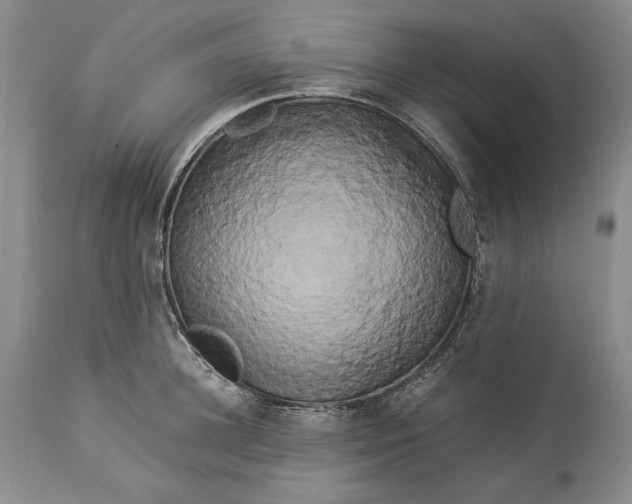X0000114190948200910231318