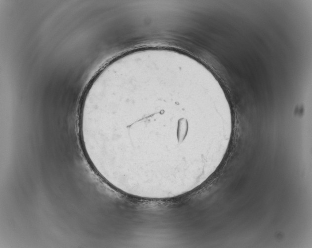 X0000114190950200910231318