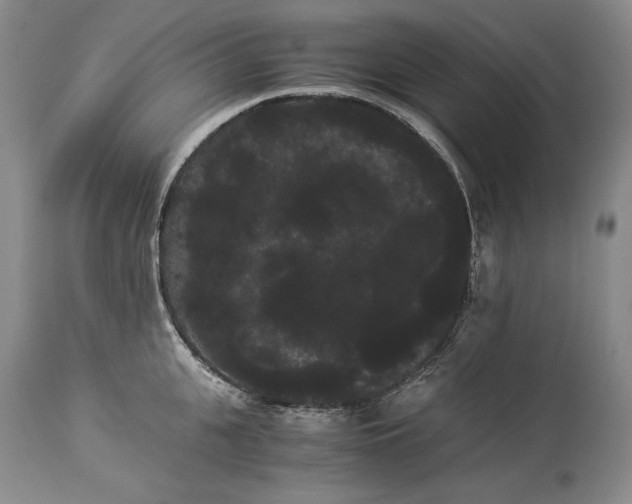 X0000114190951200910231318
