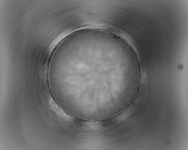 X0000114190952200910231318