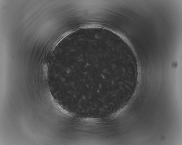 X0000114190953200910231318