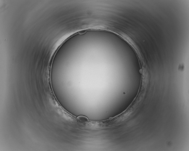 X0000114190956200910231318