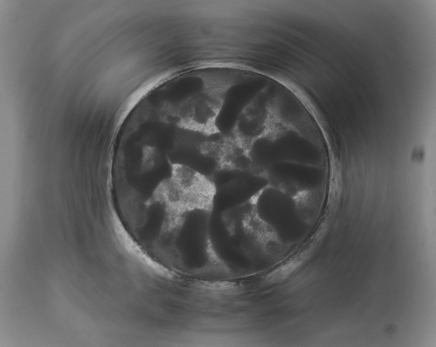 X0000114190957200910231318