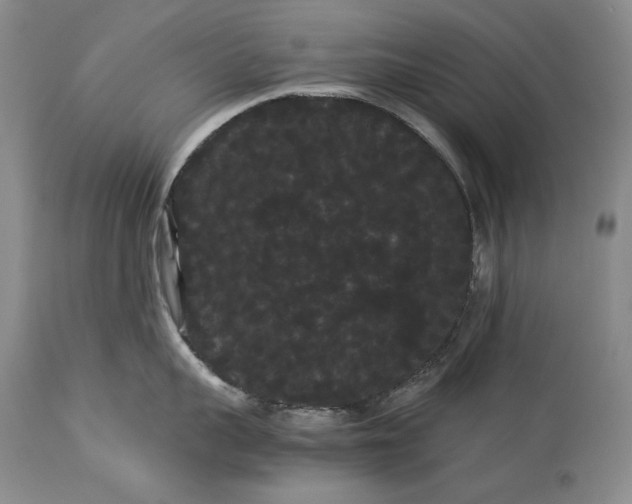 X0000114190959200910231318