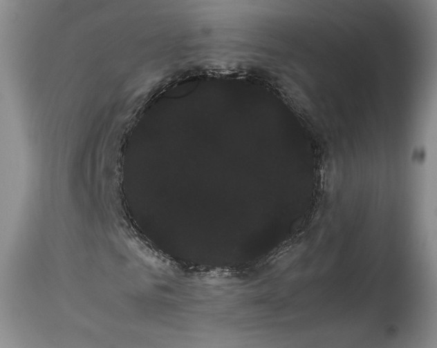X0000114190961200910231317
