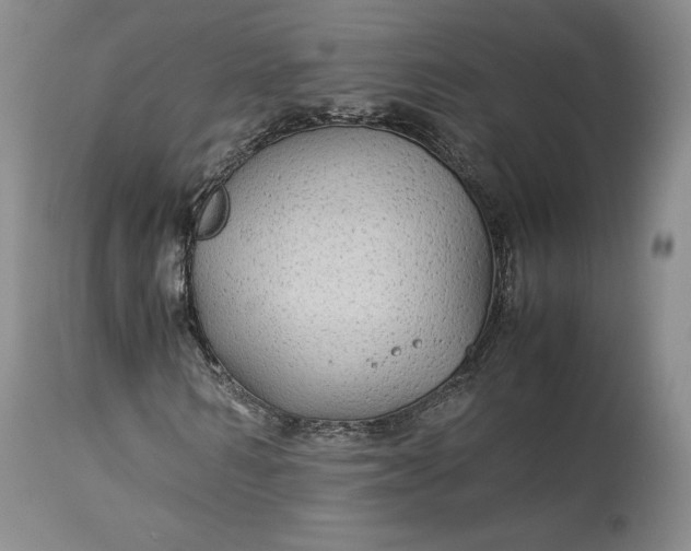 X0000114190962200910231317