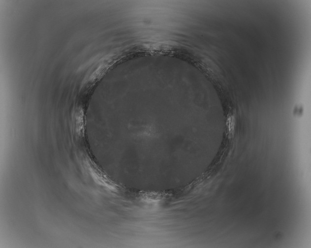 X0000114190963200910231317