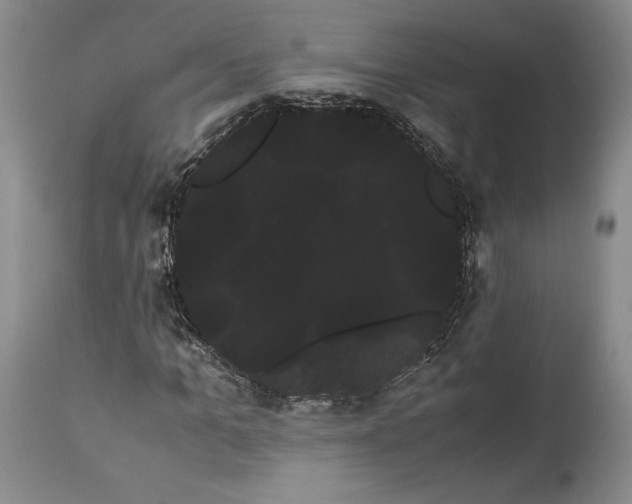 X0000114190965200910231317