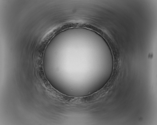 X0000114190967200910231317