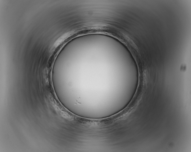 X0000114190970200910231317