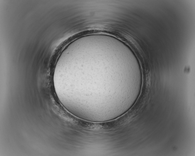 X0000114190971200910231317