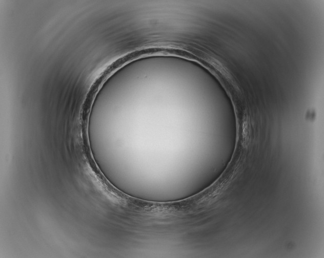 X0000114190972200910231317