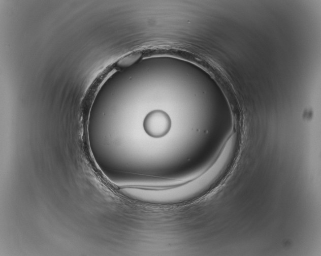 X0000114190973200910231317