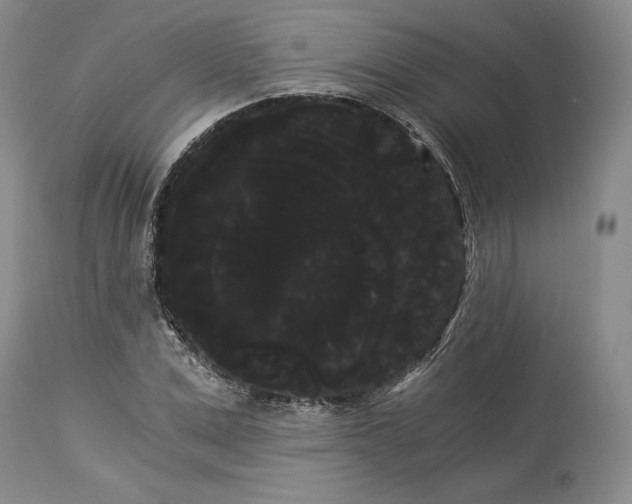 X0000114190975200910231317