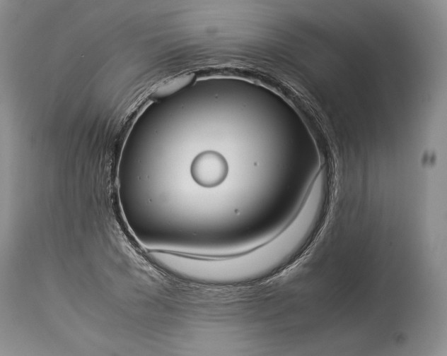 X0000114190977200910231317