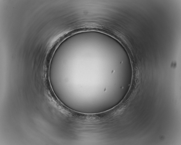 X0000114190979200910231317
