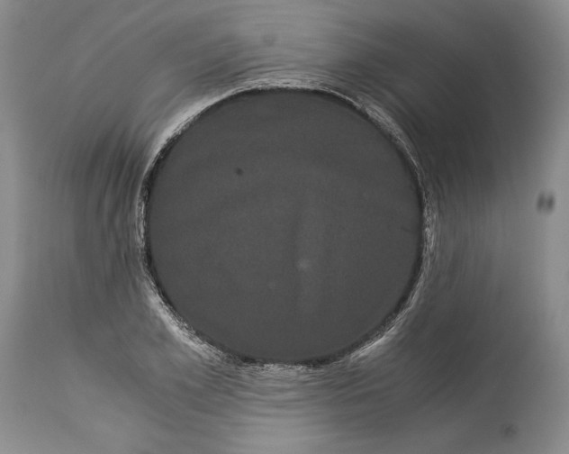 X0000114190981200910231317
