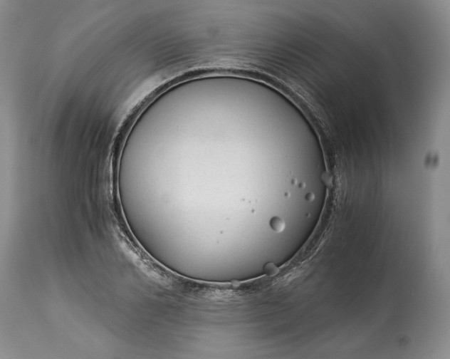 X0000114190982200910231317