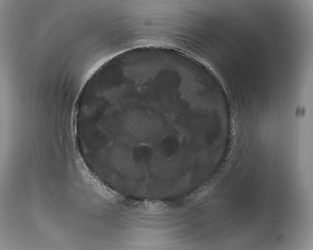 X0000114190983200910231317
