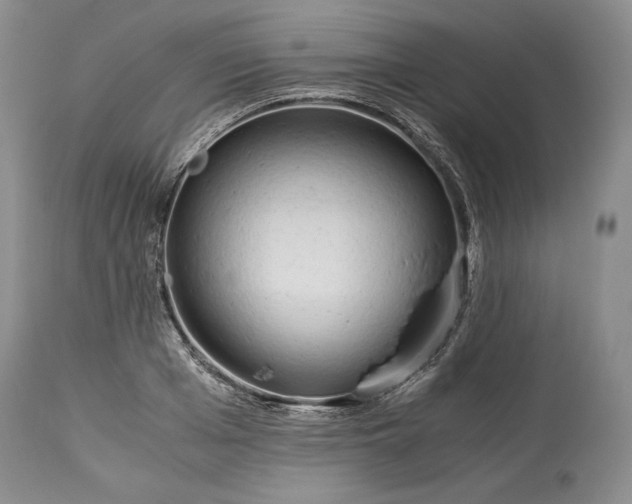 X0000114190985200910231317