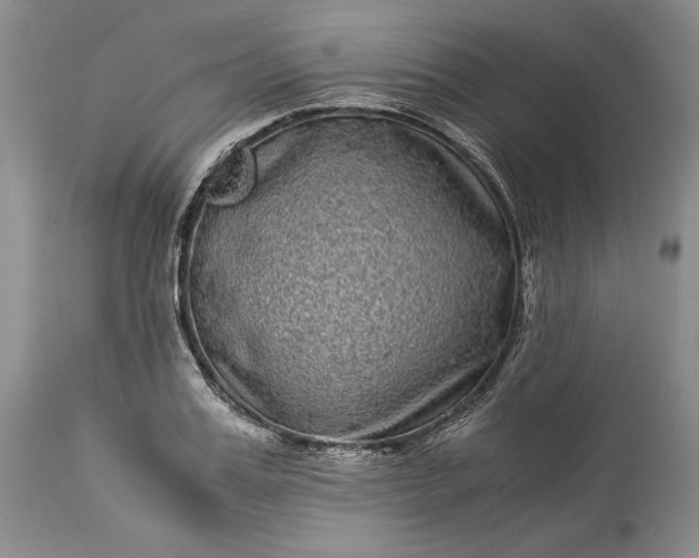 X0000114190987200910231317