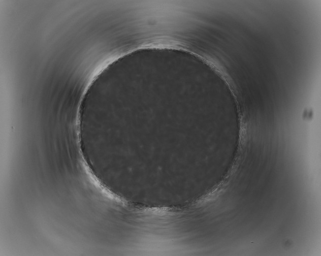 X0000114190990200910231317