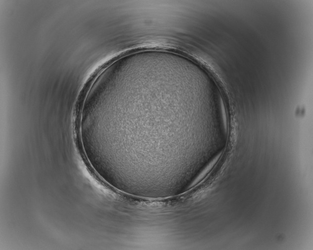 X0000114190991200910231317