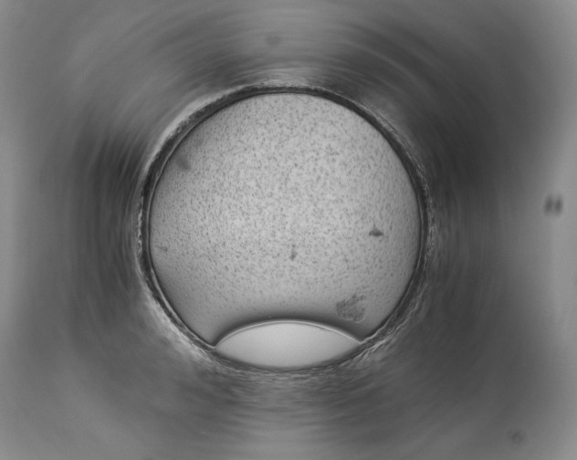 X0000114190992200910231317