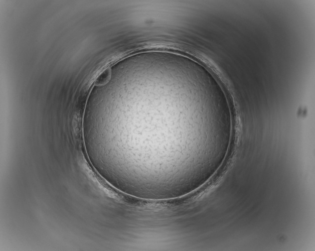 X0000114190993200910231317