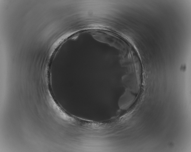 X0000114190995200910231317