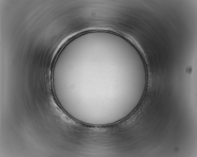 X0000114190996200910231317