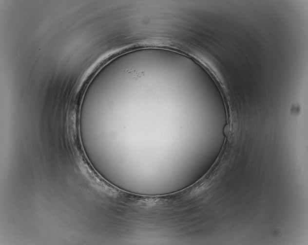 X0000114191000200910231317