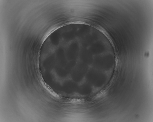 X0000114191002200910231317