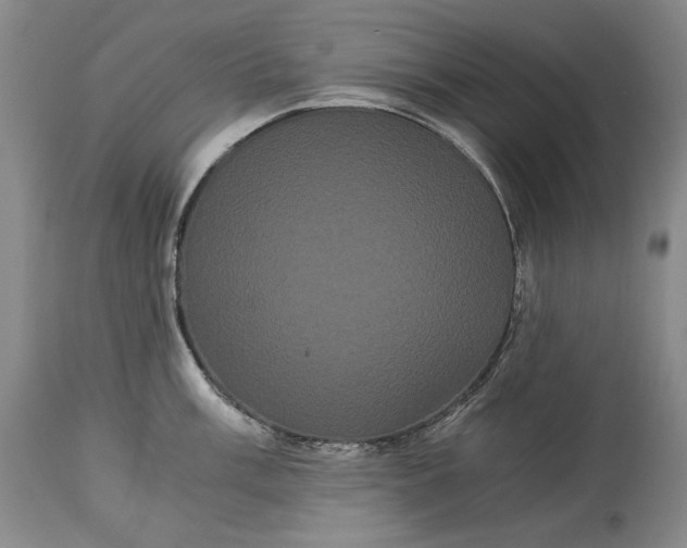 X0000114191003200910231317