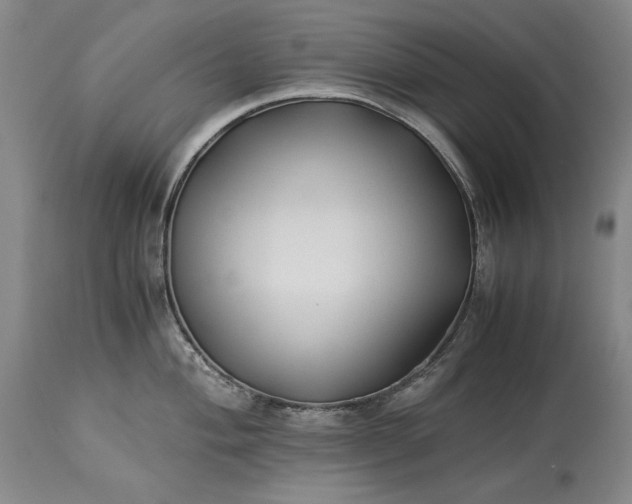 X0000114191004200910231317