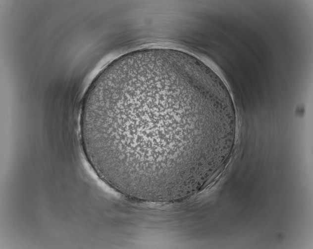 X0000114191005200910231317
