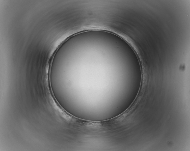 X0000114191006200910231317