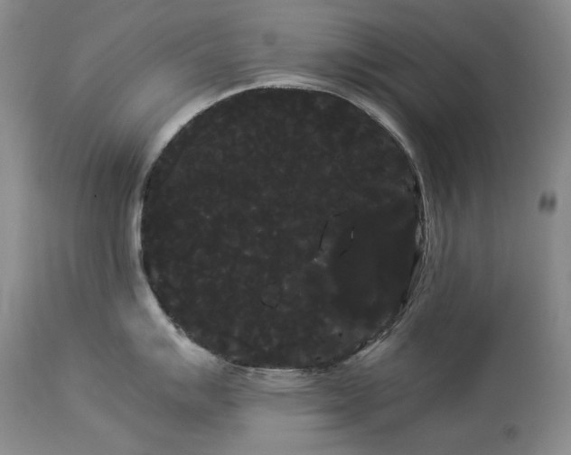 X0000114191007200910231317