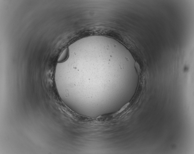 X0000114191010200910231316
